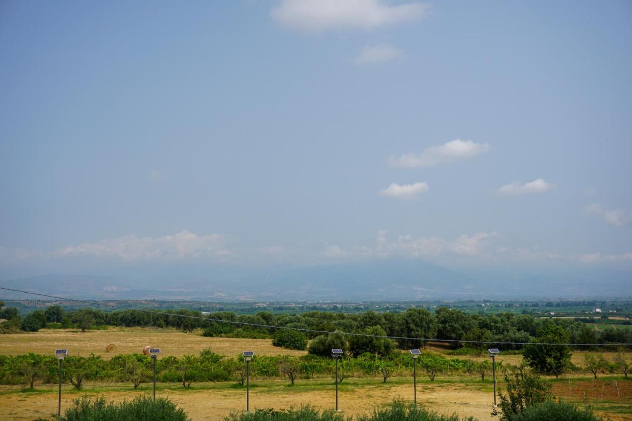 Agriturismo Casacchella Марина-ди-Сибари Экстерьер фото