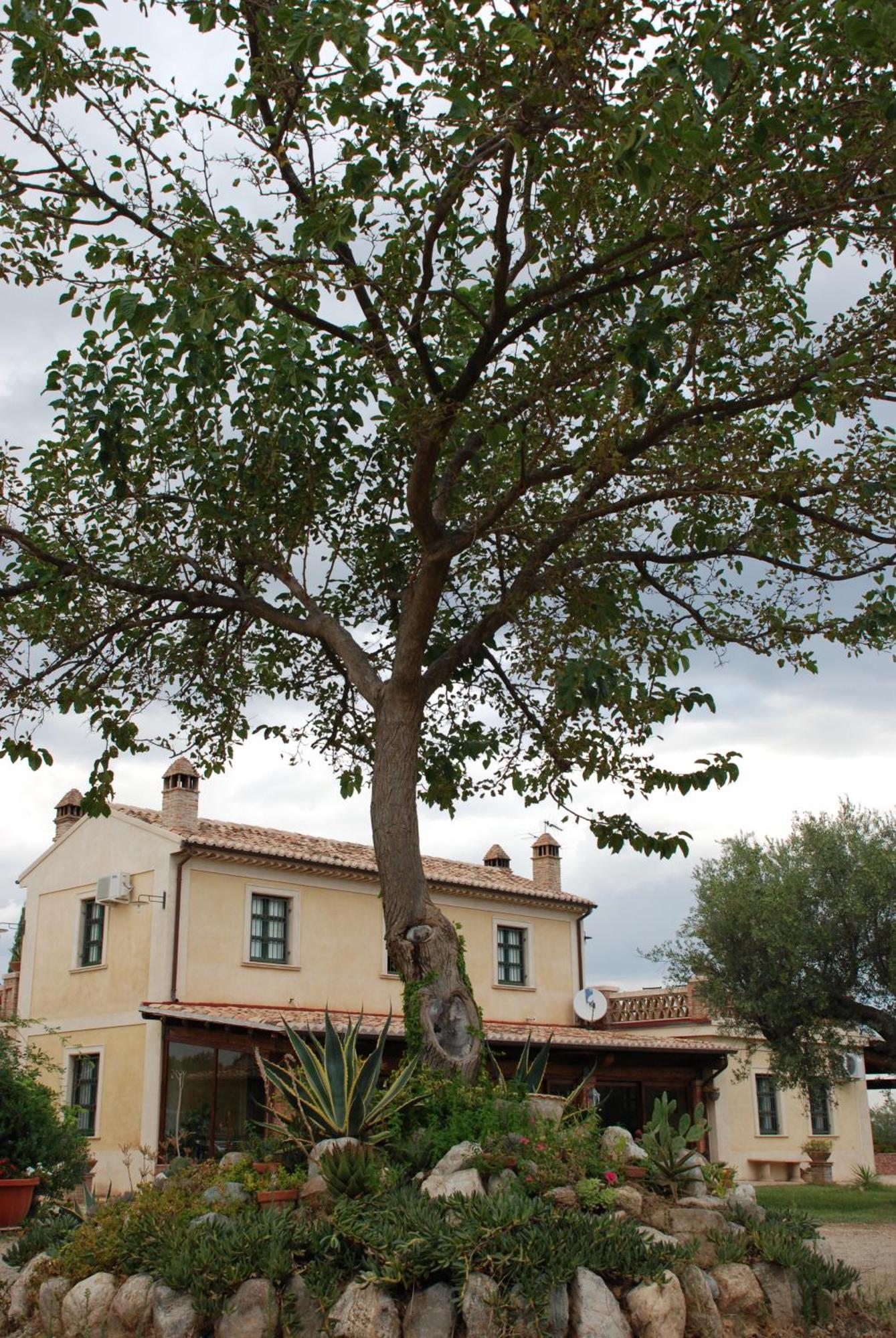 Agriturismo Casacchella Марина-ди-Сибари Номер фото