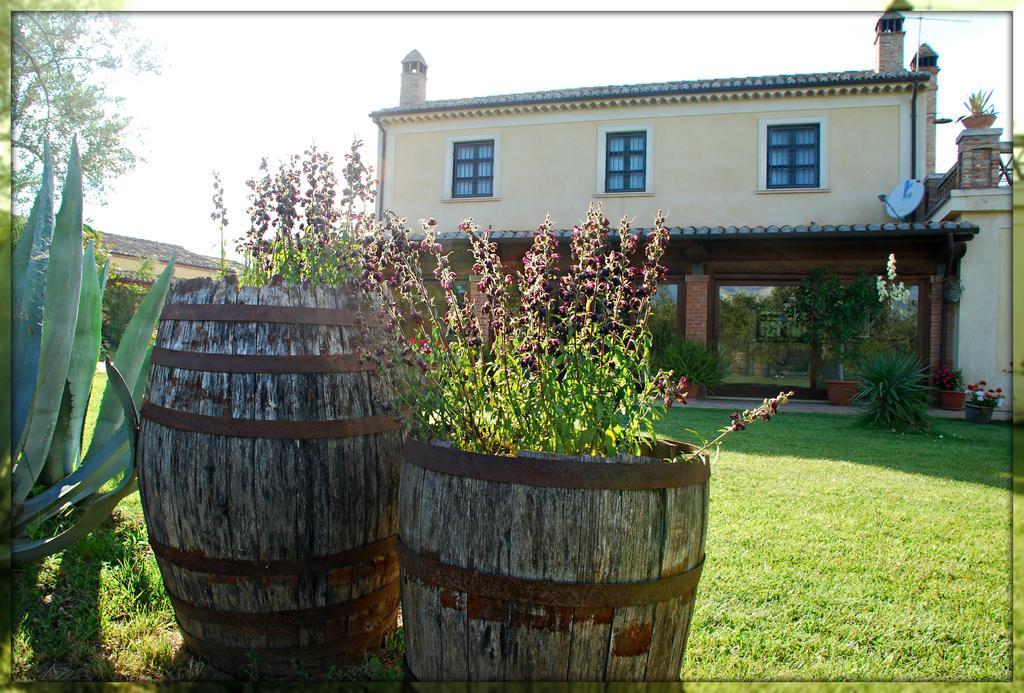 Agriturismo Casacchella Марина-ди-Сибари Экстерьер фото